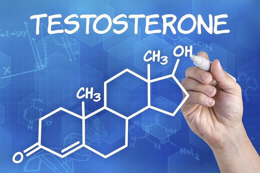 how to increase testosterone