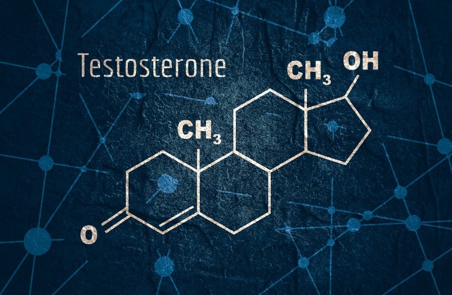 best testosterone natural testosterone boosters
