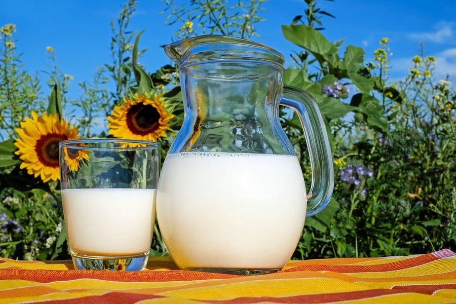 Milk foods that increase testosterone