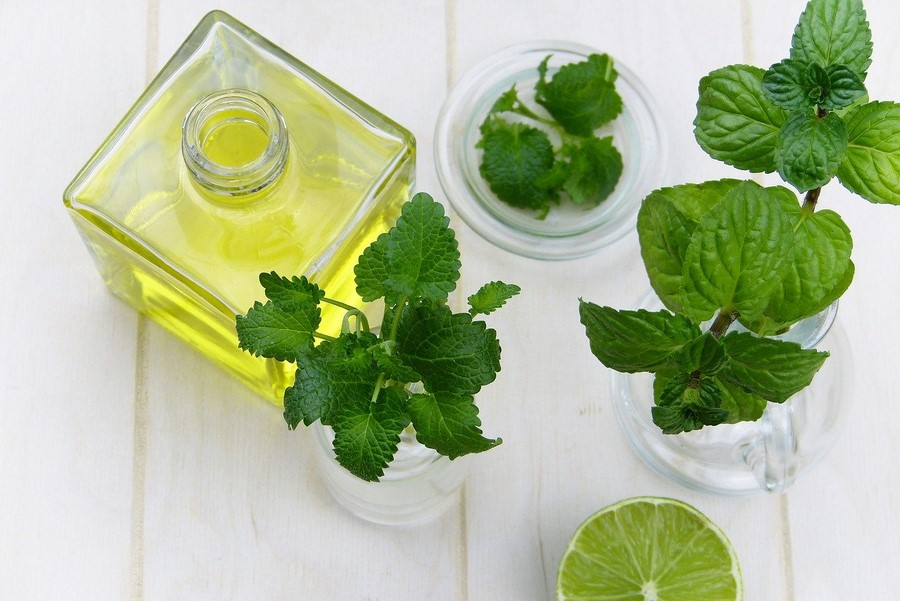 Mint foods that increase testosterone