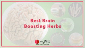 Best Brain Boosting Herbs