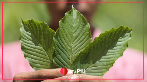 5 Ways To Add One Kratom Leaf To Your Lifestyle